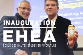  Dijon métropole et l'Ecole des hautes études en apiculture (EHEA) s'engagent pour la recherche